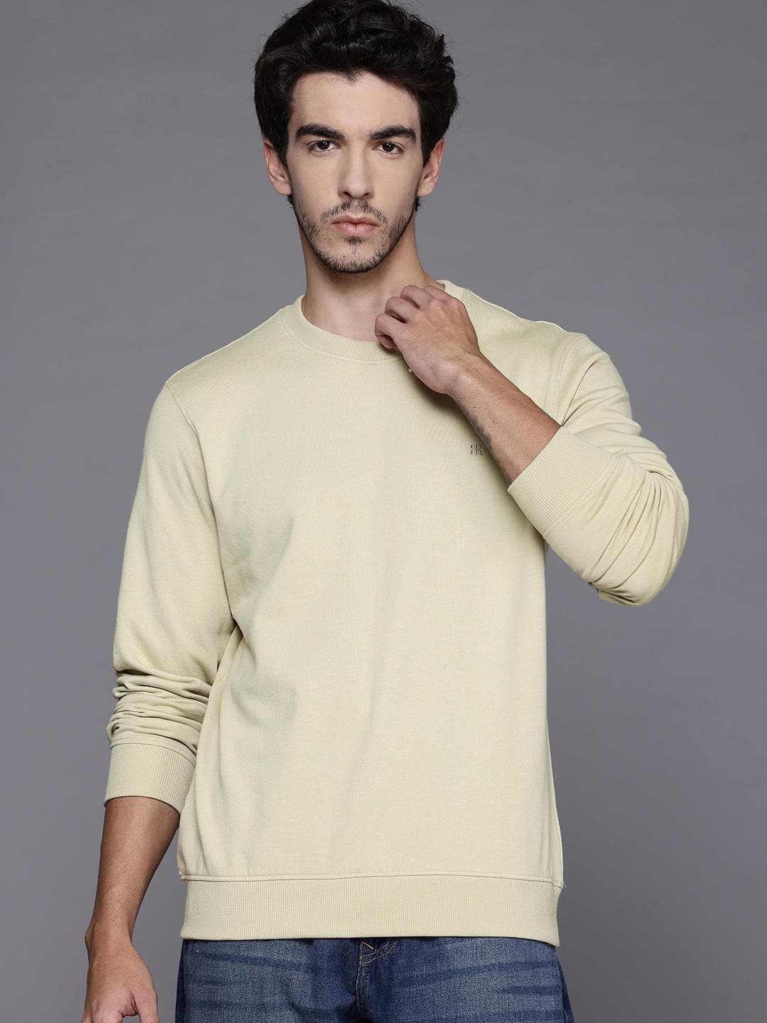 Raymond Men Round Neck Sweatshirt