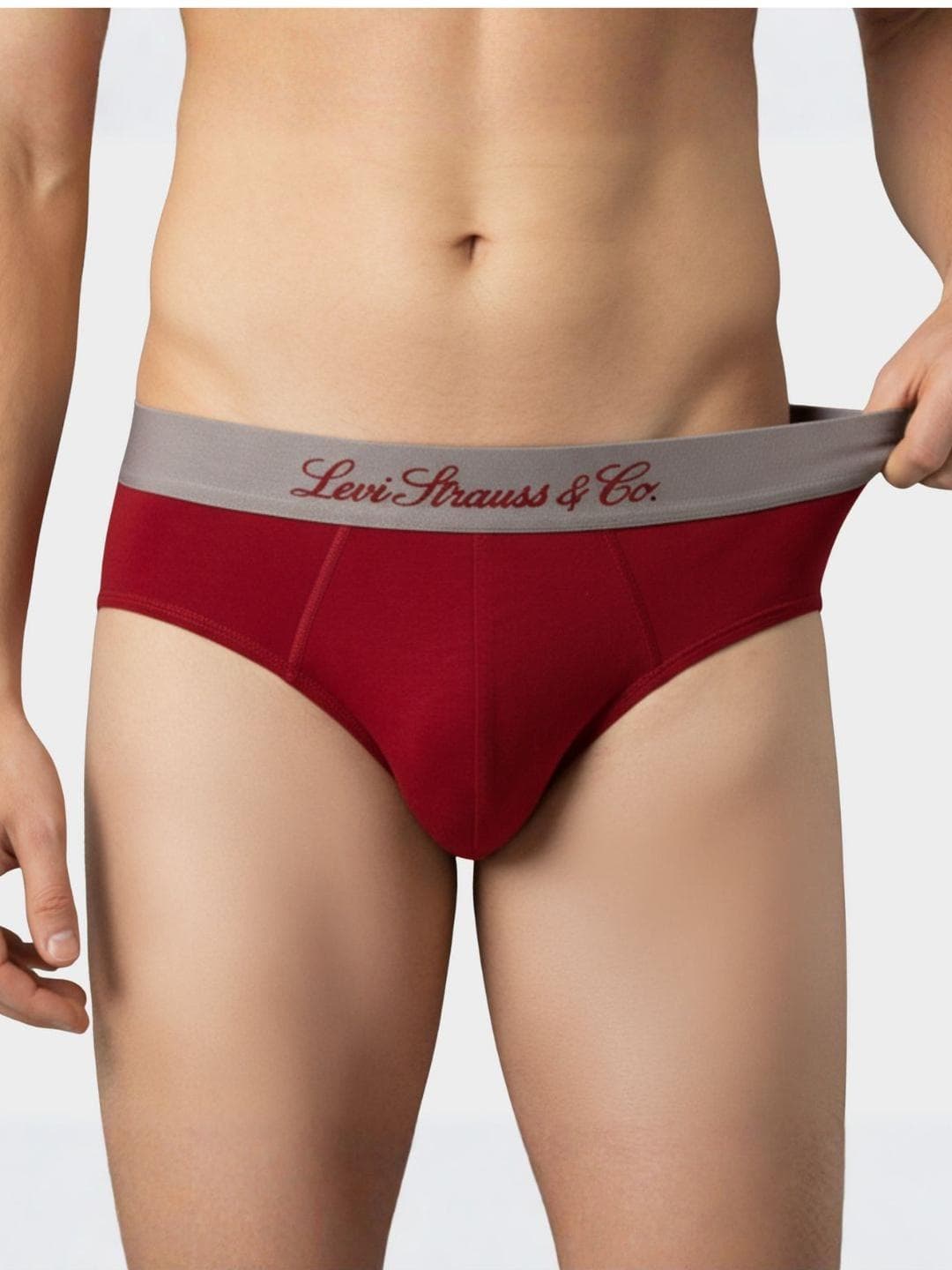 Levis Men Cotton 4-Way Stretch Outer Elastic Waistband Elite Heritage Brief 073