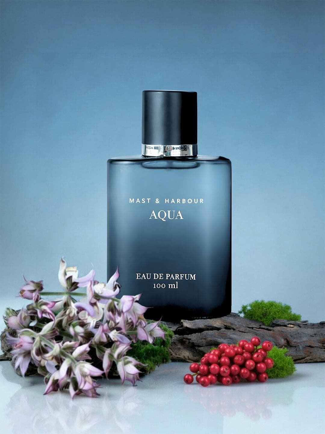 Buy Mast & Harbour Men Aqua Eau De Parfum 100 Ml - - Personal Care for Men