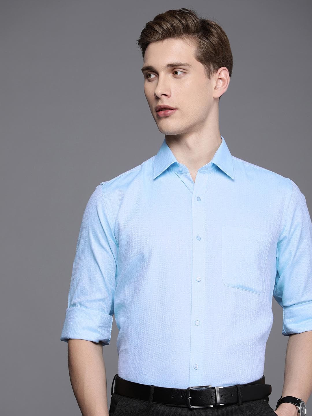 Raymond Self Design Pure Cotton Opaque Formal Shirt
