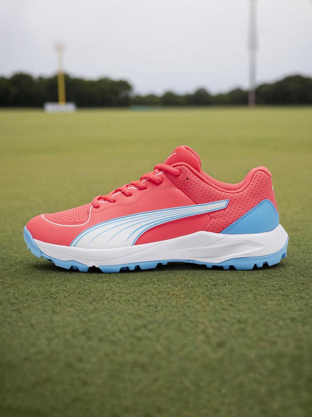 Buy Puma Unisex 24 FH Rubber Cricket Shoes - - Footwear for Unisex