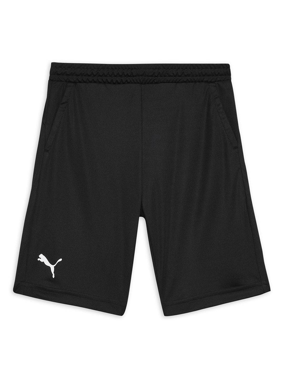 Puma Cricket Teamwear Youth Shorts