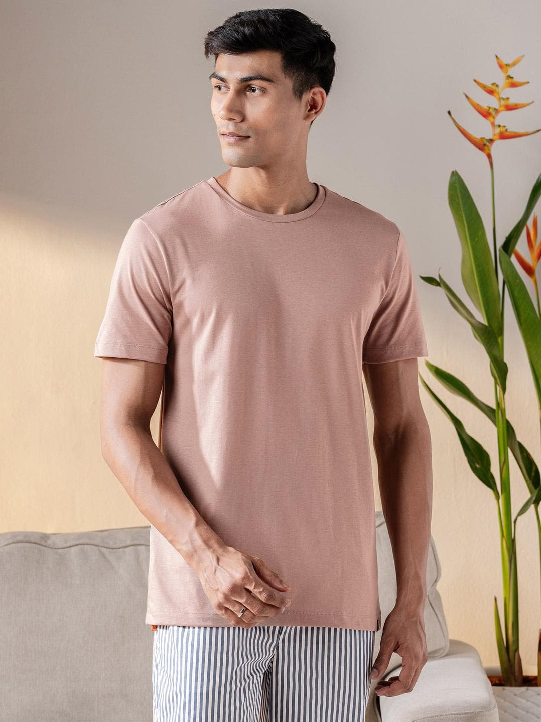 Buy DAMENSCH Men Ultralight Basic Crew Pure Cotton Lounge T Shirts - - Apparel for Men