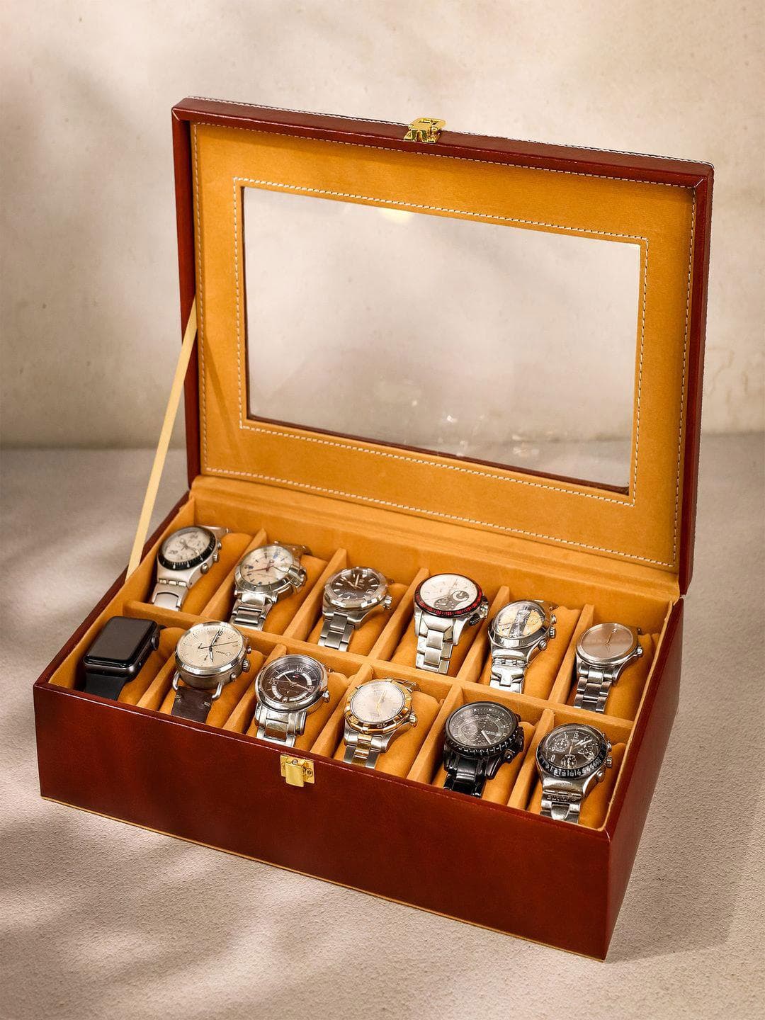 BIRCH & CO. Brown and Beige Luxury Watch Box For 12 Watches Stylish Storage Organizer