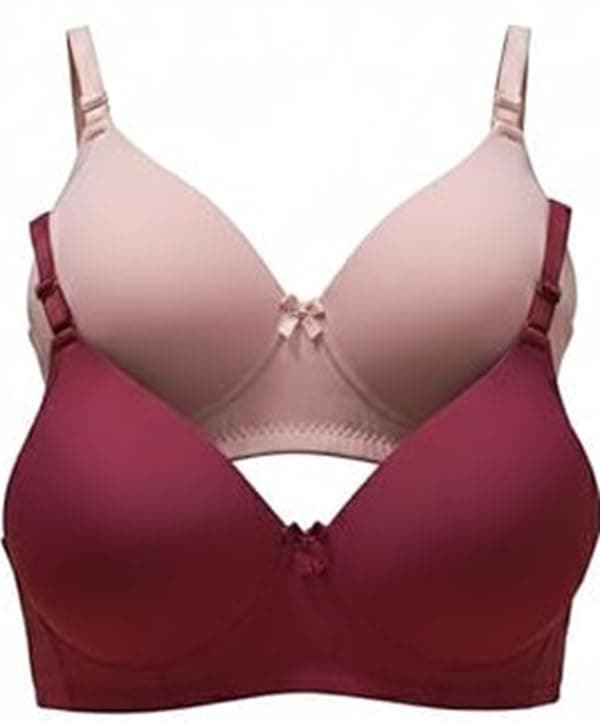 Imsa Moda Women's Nylon Lycra Lightly Padded Full Coverage Wirefree T-Shirt Bra Combo Pack of 2
