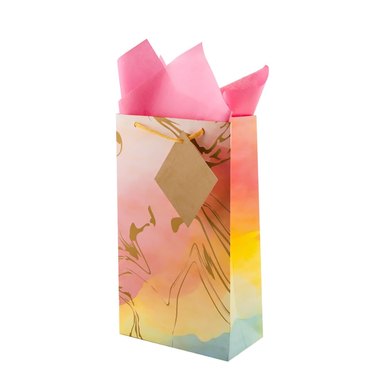 Birch & Co. Gift Paper Bags - Small Carry Bags For Gifting - Goodie Bags With Tissue And Thank You Card - Gift Covers - Pack Of 5, Marble Ombre, Multicolor
