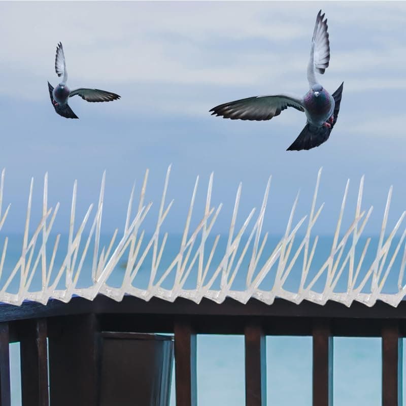 Essoti (Pack of 10) Transparent Bird & Pigeon Spikes for AC, Balcony, Railing, Window - Anti-Bird Protection