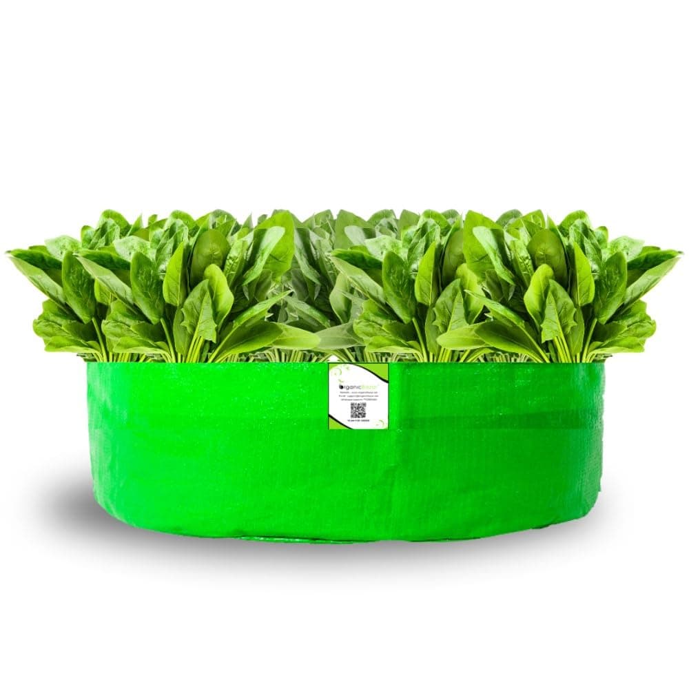 ORGANIC BAZAR HDPE 24x6 Grow Bags for Leafy Vegetables | Premium HDPE 260 GSM Green Grow Bag | Vegetable Planter Bags (Pack of 1)
