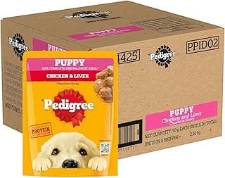 Pedigree Puppy Wet Dog Food, Chicken Chunks in Gravy, 70 g (Pack of 30), Complete & Balanced Meal for Puppies