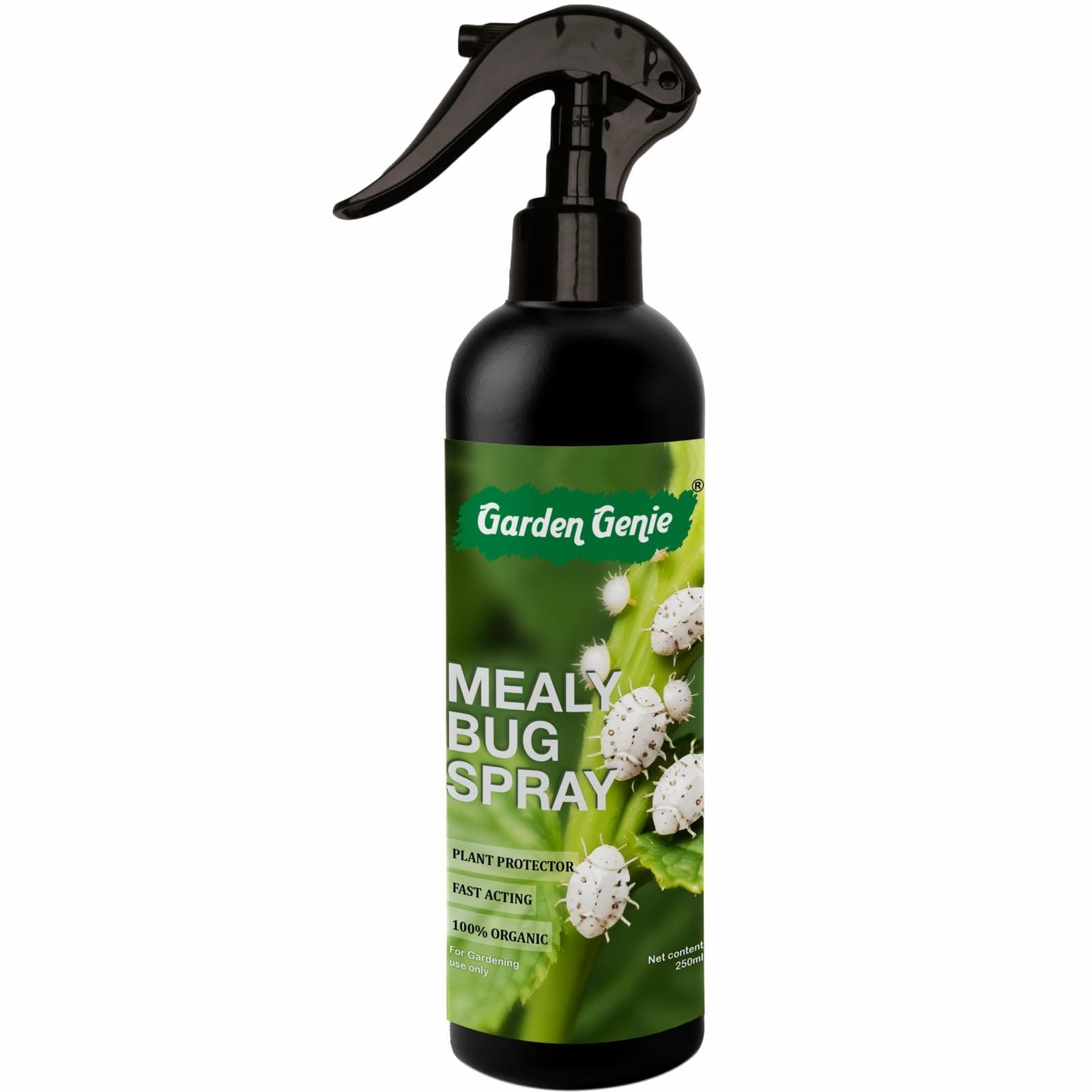 Garden Genie Mealy Bug Spray for Plants, 250ml Plant Protection Spray