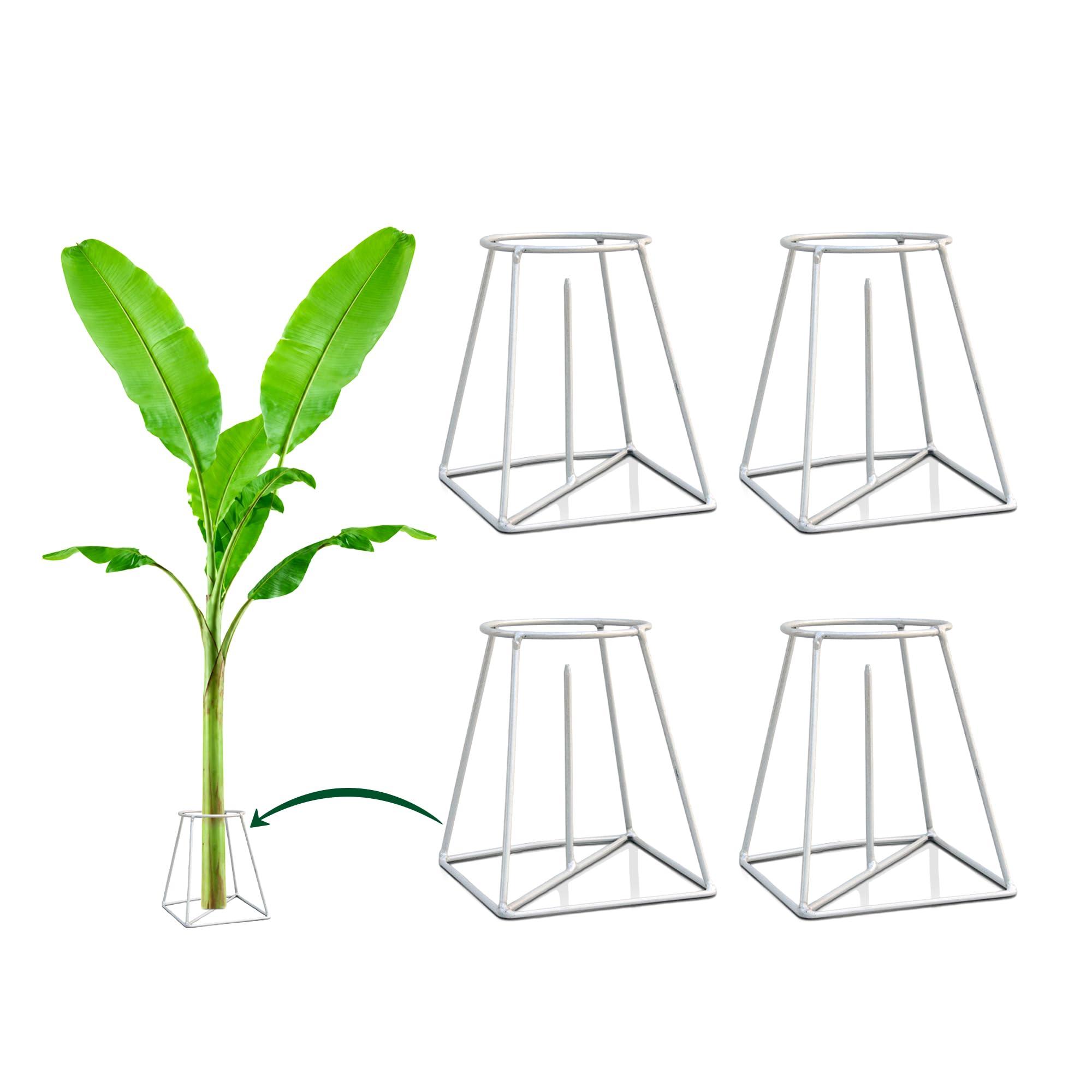 Urban Plant Banana Stand – Decorative Metal Stand for Pooja Setup, Banana Leaves, Fruit Basket, Indoor Plants, Home Decor & Festival Decoration (Pack of 4)