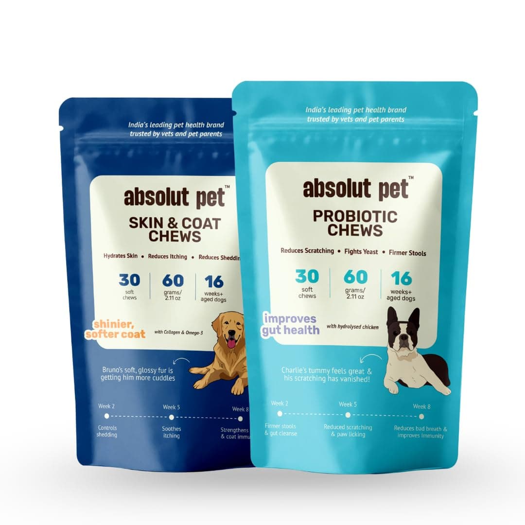 Absolut Pet Probiotic + Skin & Coat Dog Chews, Gut Health & Shine | Combo