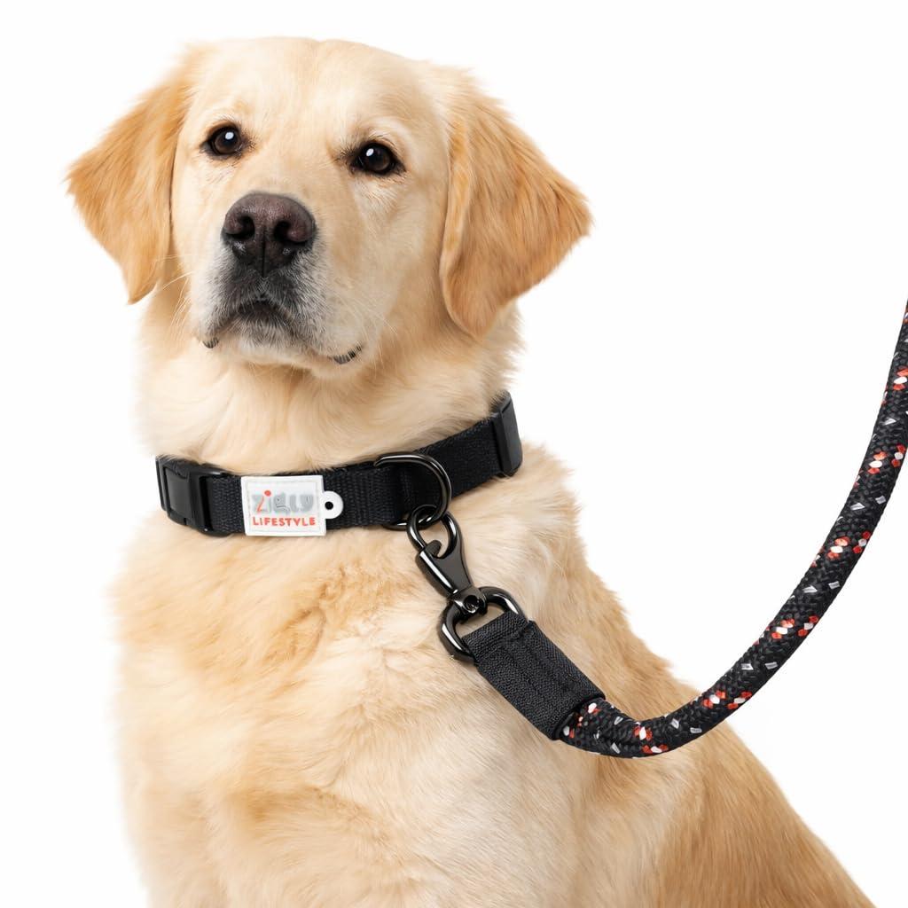 Zigly Lifestyle Classic Padded Dog Collar & Reflective Leash Set for Medium Dogs | Adjustable Comfortable Walking Combo | Safe & Durable Everyday Walking Gear | Black | Medium