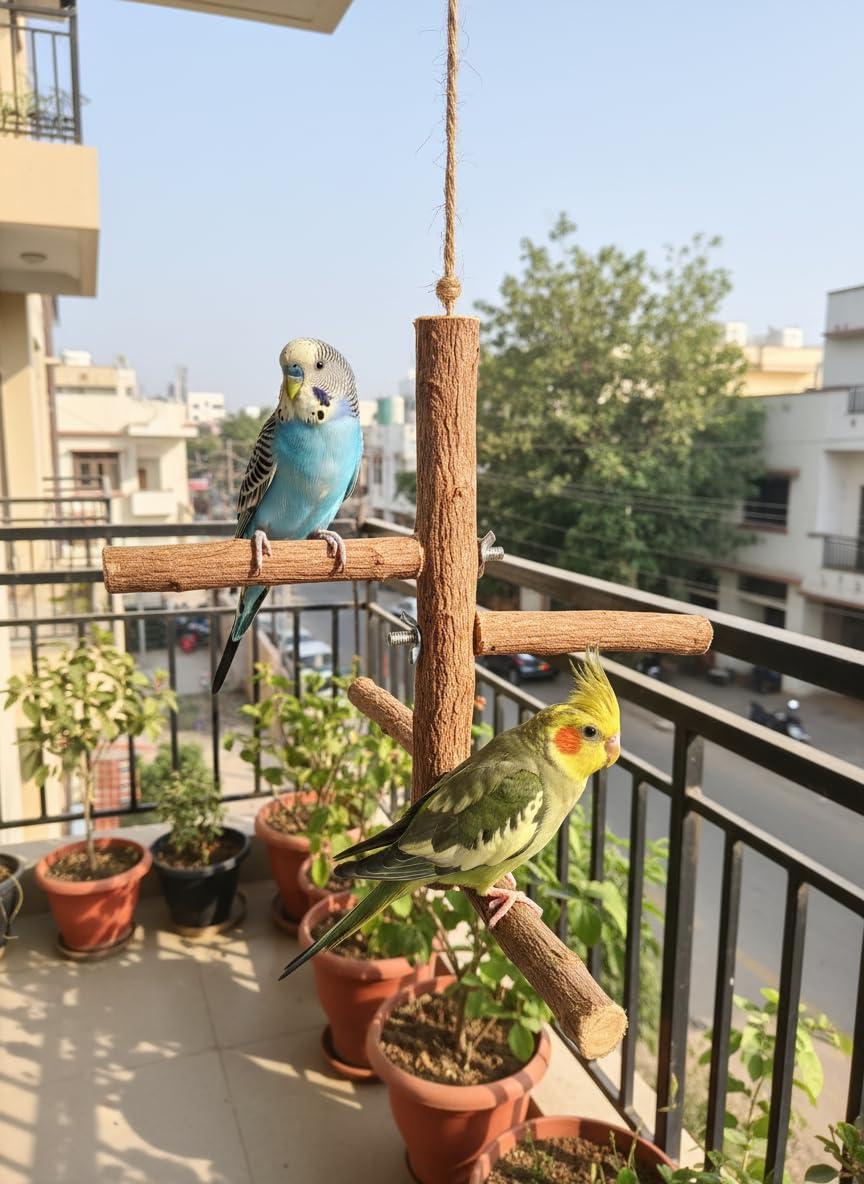RUKDA® Neem Wood Bird Playground Perch Stand for Parrots & Small Birds | Natural Wooden Multi-Branch Cage Platform Chew Toy for Budgies, Cockatiels, Lovebirds & Canaries | Hanging Climbing Play Stand
