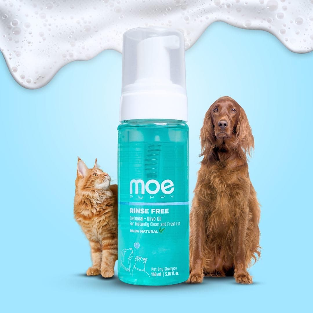 Moe Puppy Waterless Dry Shampoo for Dogs & Cats | Cleansing & Conditioning, Detangling & Moisturizing | Quick Odor Removal | Safe for Puppies & Kittens (150 ml)