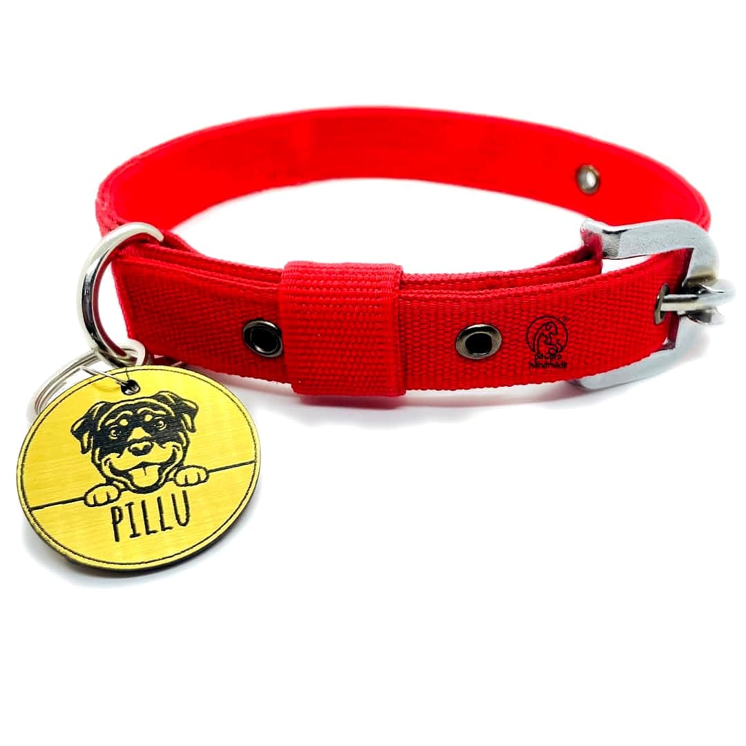 Pawpro Adjustable Nylon Dog Collar with Secure D-Ring from Small - Medium to Large Breeds (Red, Small)
