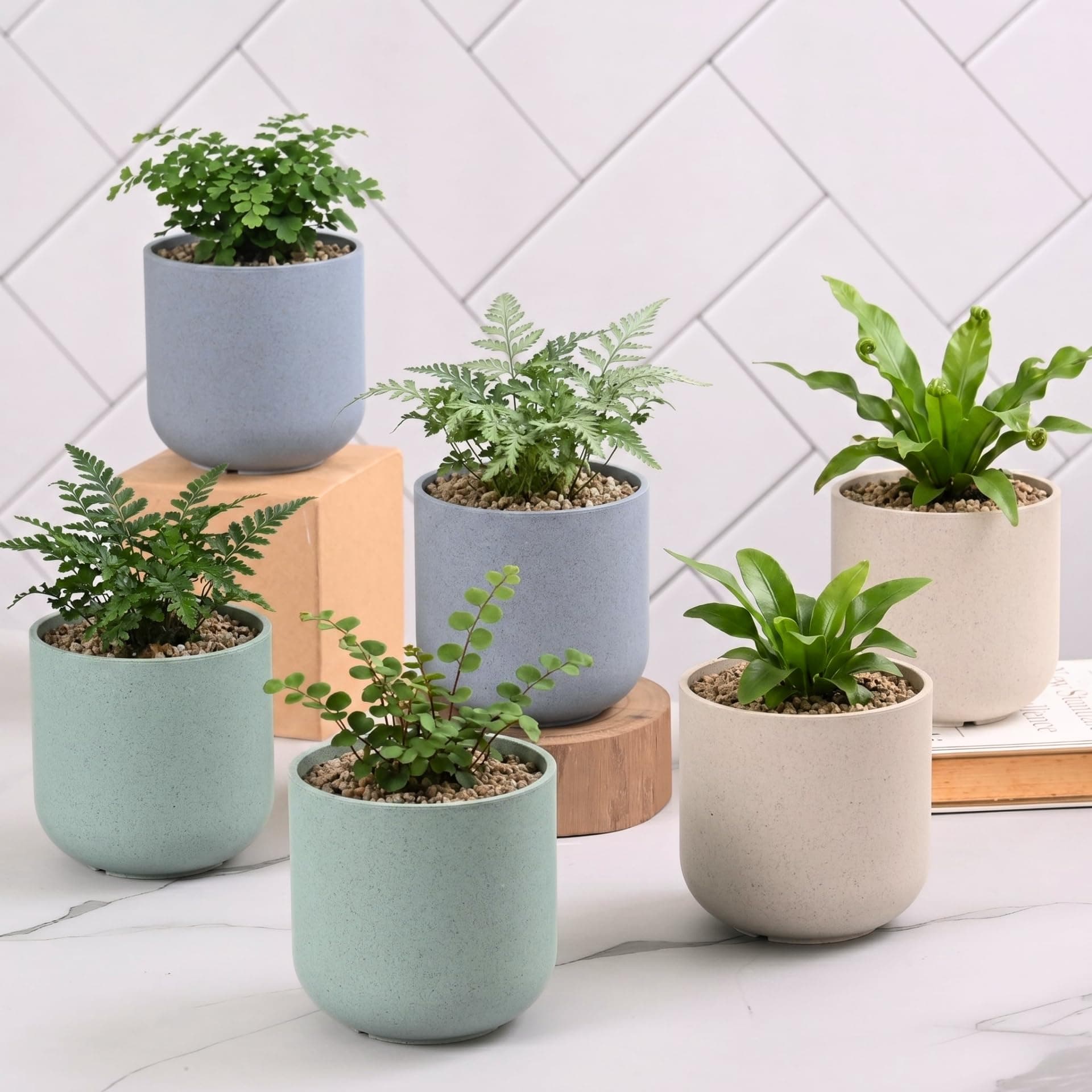 Eha Earth-Friendly Terrapod Planters for Home Decor | 3.5 Inch, Pack of 6 | Small Plant Pot Made with Rice Husk Biocomposite | Flower Pot for Living Room | Multi Light