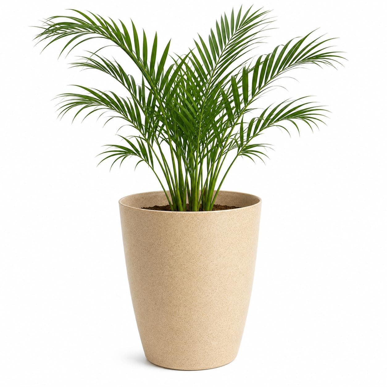 Leafy Tales Modern Round Tower Planter for Home Décor 12 INCH, Highly Durable,Lightweight Indoor Outdoor Planter, Flower Pot Gamla, Pot for Balcony Garden, Vegetables, Flowers & Greenery