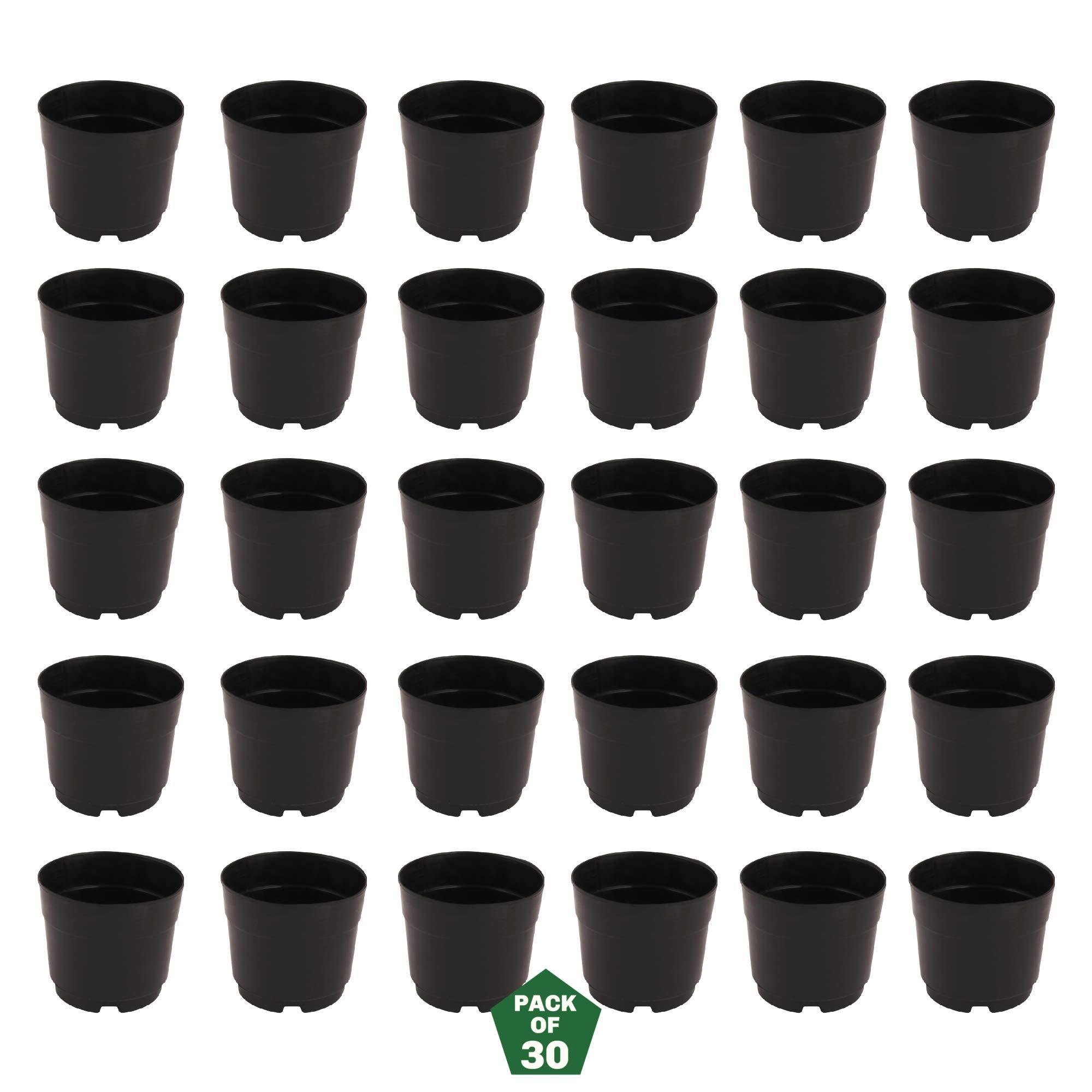 Leafy Tales UV Plastic Round Pots for Plants (6 Inches, Black, Pack of 30) | Lightweight Indoor Outdoor Garden & Balcony Planters