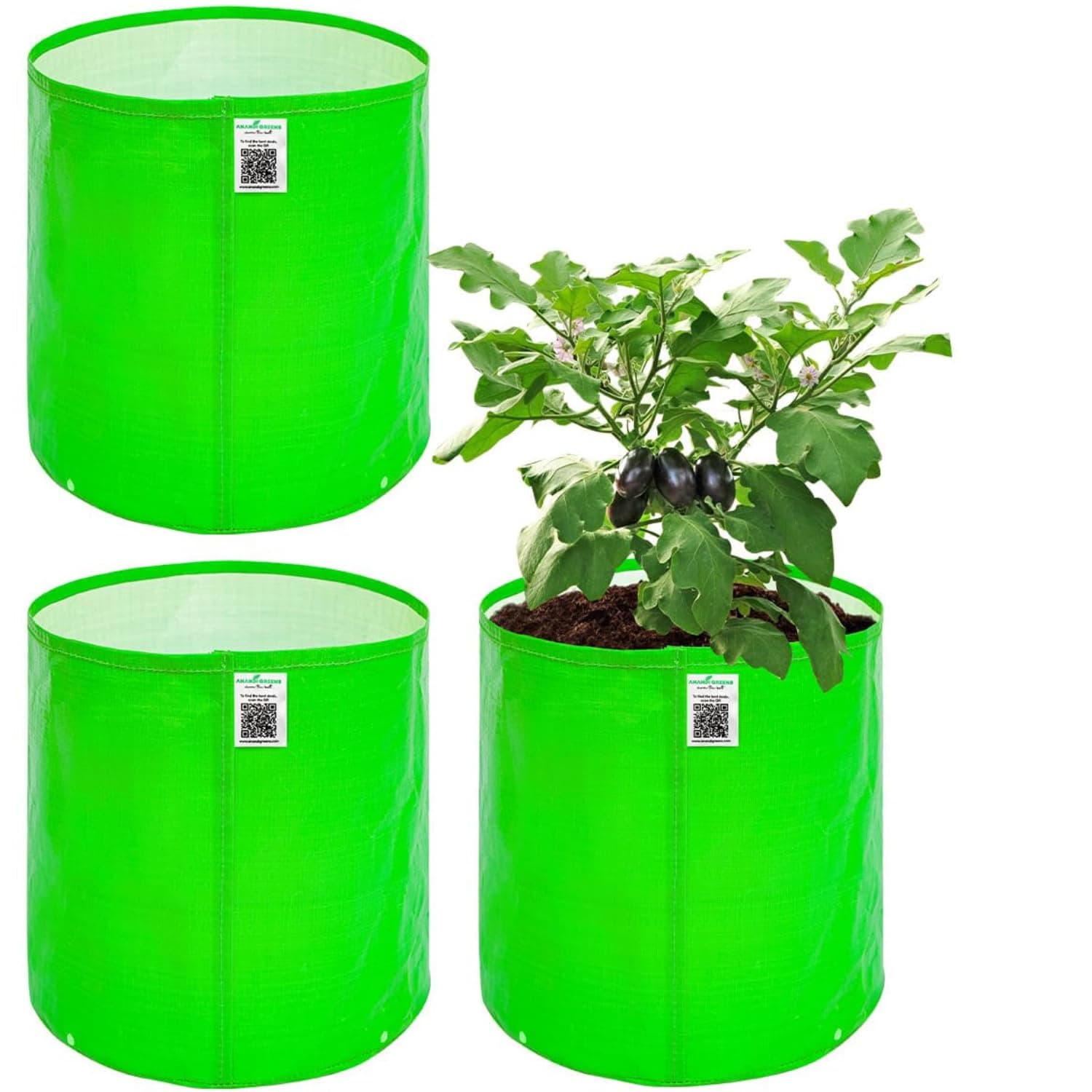 Anandi Green's Premium HDPE Uv Protected 260 GSM Round Shaped Green Colour Plants Grow Bags Suitable for Terrace and Vegetable Gardening 12x12 Inch Pack of 3 Grow Bags