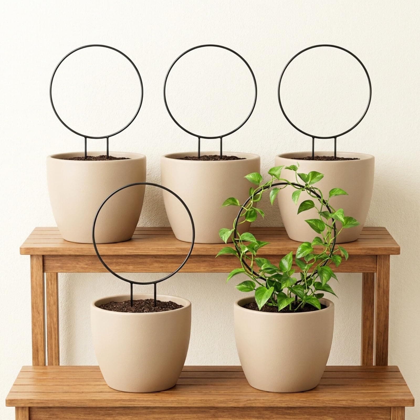 ecofynd 5 Pack Black Iron Garden Metal Trellis for Climbing Plants | Black Coating Decorative Potted Plants | Climbing Holder | Rack for Garden Stem Stalks Vines (Round)