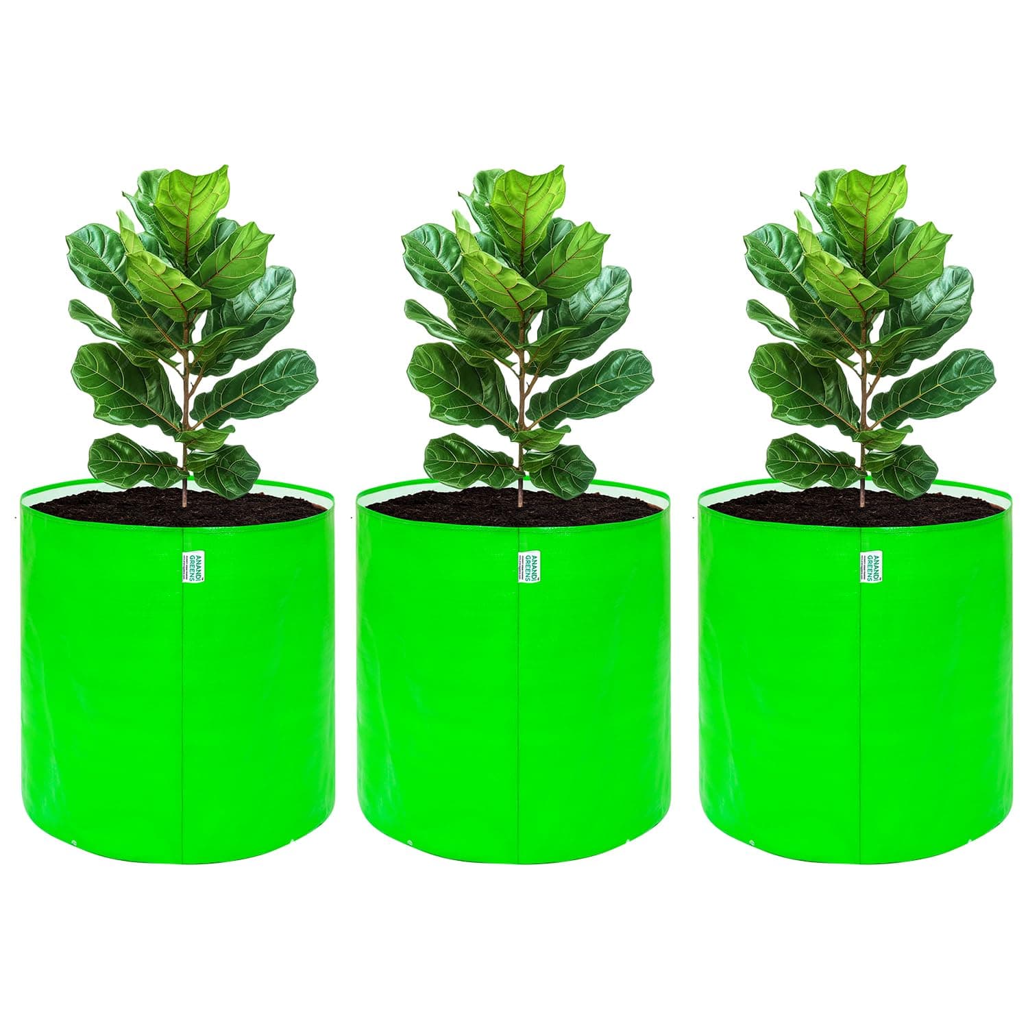 Anandi Green's Premium HDPE Uv Protected 260 GSM Round Green Colour Plant Grow Bag Suitable for Terrace and Vegetable Gardening Size 15X18 INCH Pack of 3