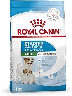 Royal Canin Mini Starter, Mother & Babdog Food, 1 Kg, Dry Food, Supports Complex Natural Defence & digestive health, Provides Gestation/Lactation Support, Supports Easy rehydration