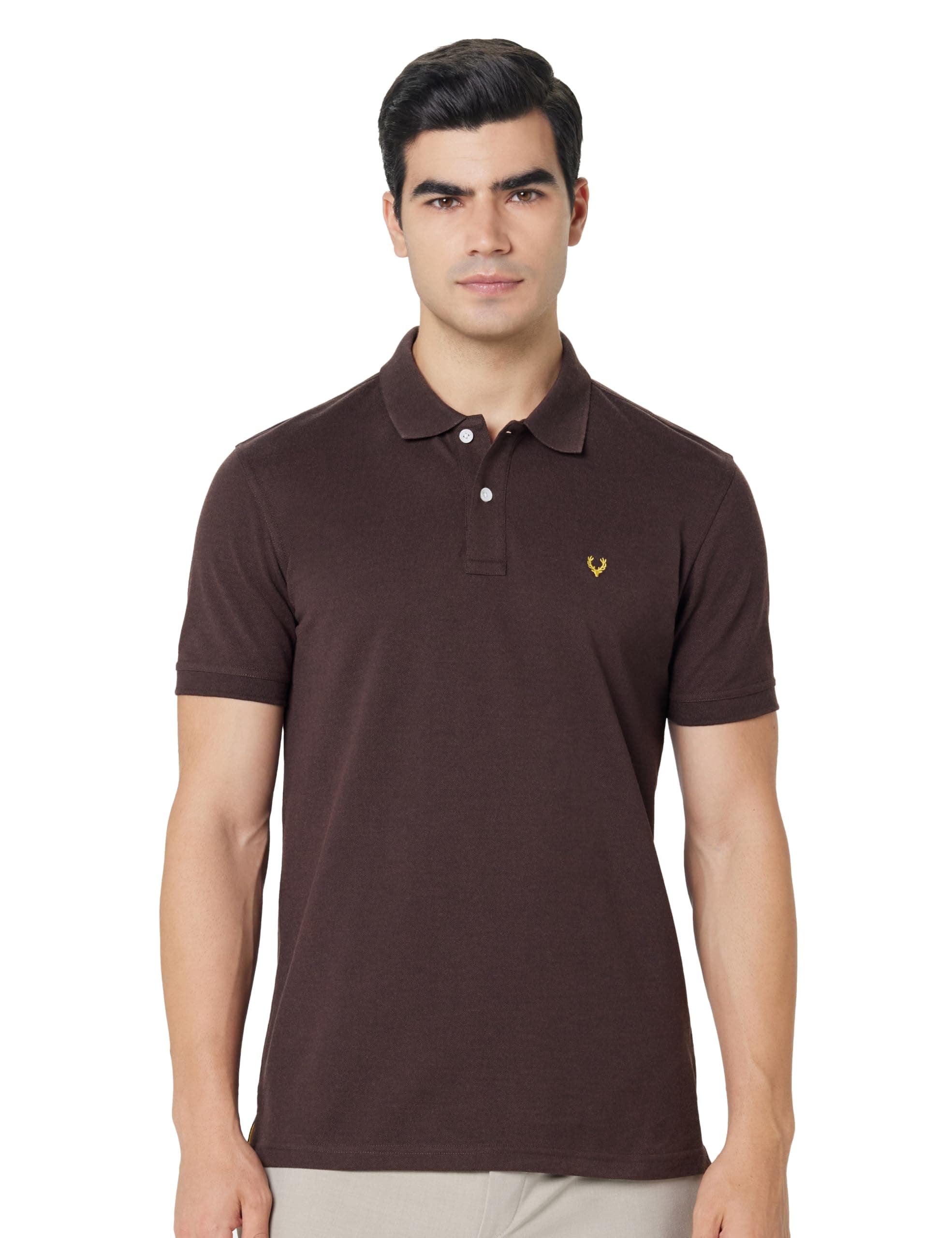 Allen Solly men Polo