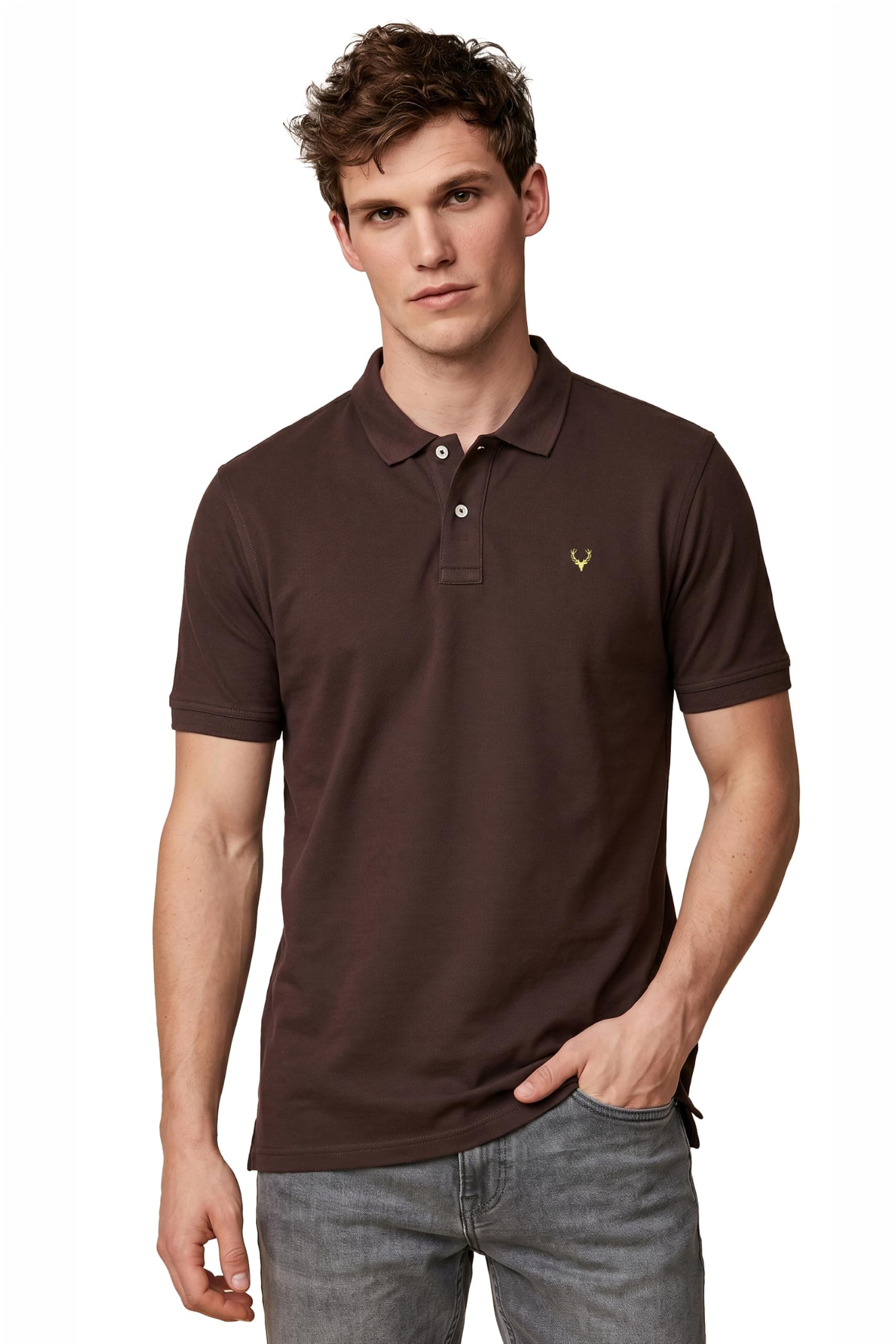 Allen Solly Men Slate Regular Fit Polo(AMKP317G04234_Brown_L)