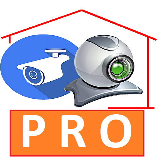 IP camera PROFESSIONAL