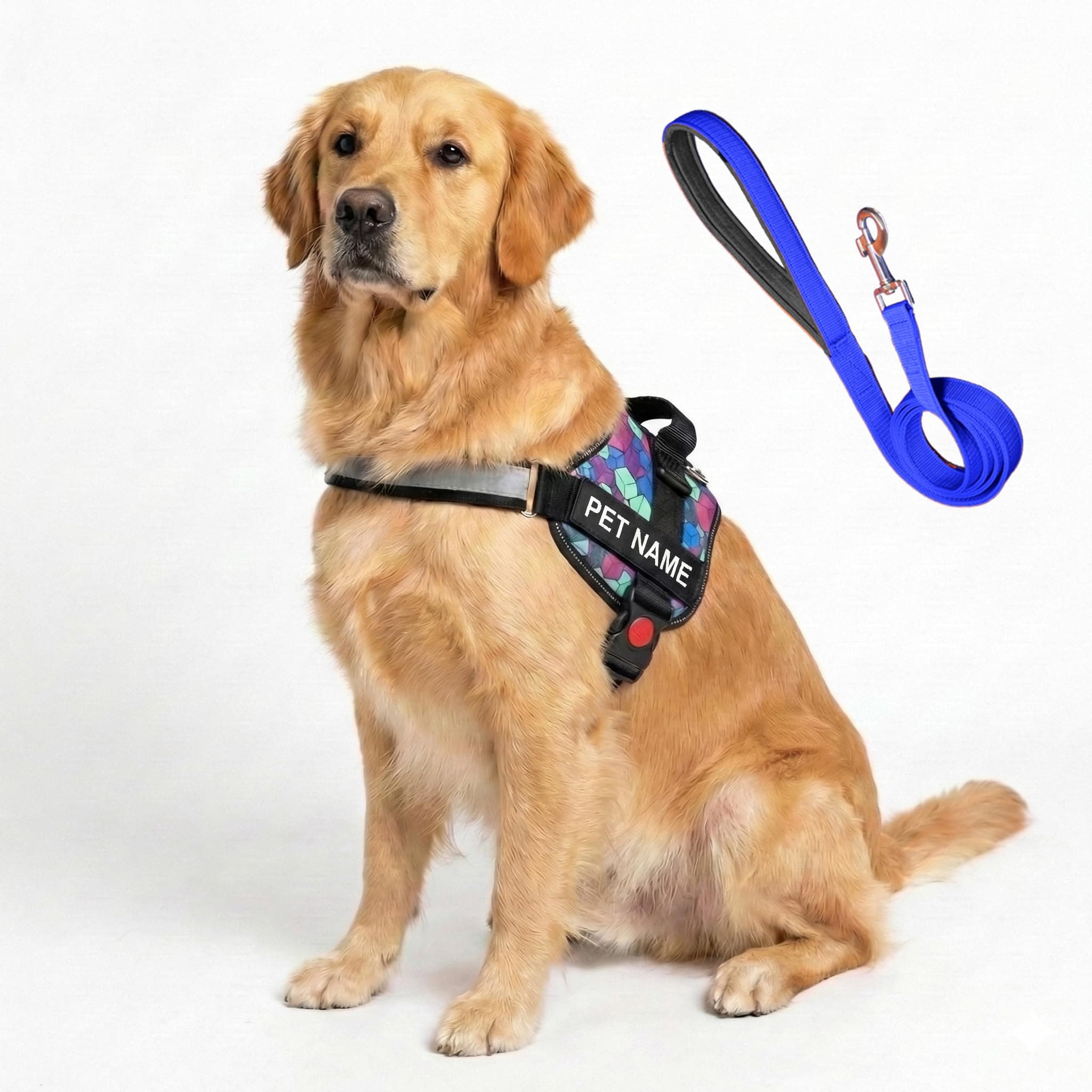 PAYTON PERRY Customized Dog Harness and Leash with Name | Dog Belt for Large Dogs, No Pull, Adjustable (L, Blue-Diamond, for 24-35 Kilograms Dogs)