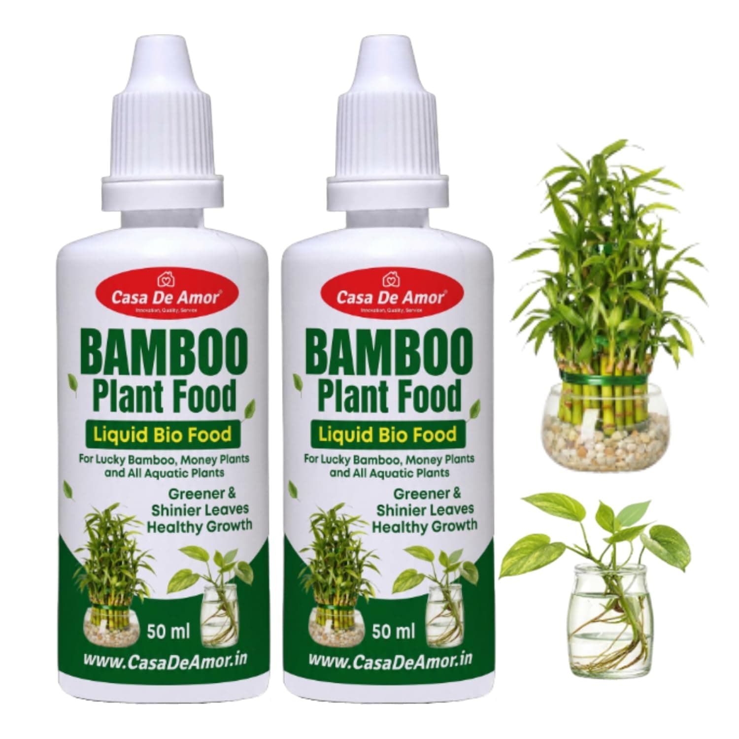 Casa De Amor Bamboo Plant Food for Lucky Bamboo & Money Plants | Liquid Fertilizer for Indoor Water Plants | Growth Booster for Green Leaves & Strong Roots | 2 x 50ml (100ml Total)