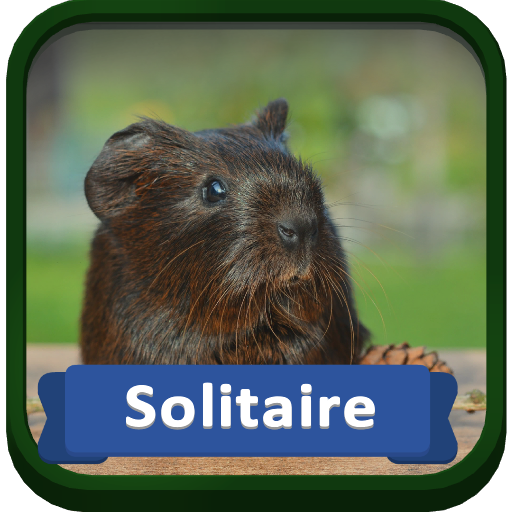 Solitaire Pets TV