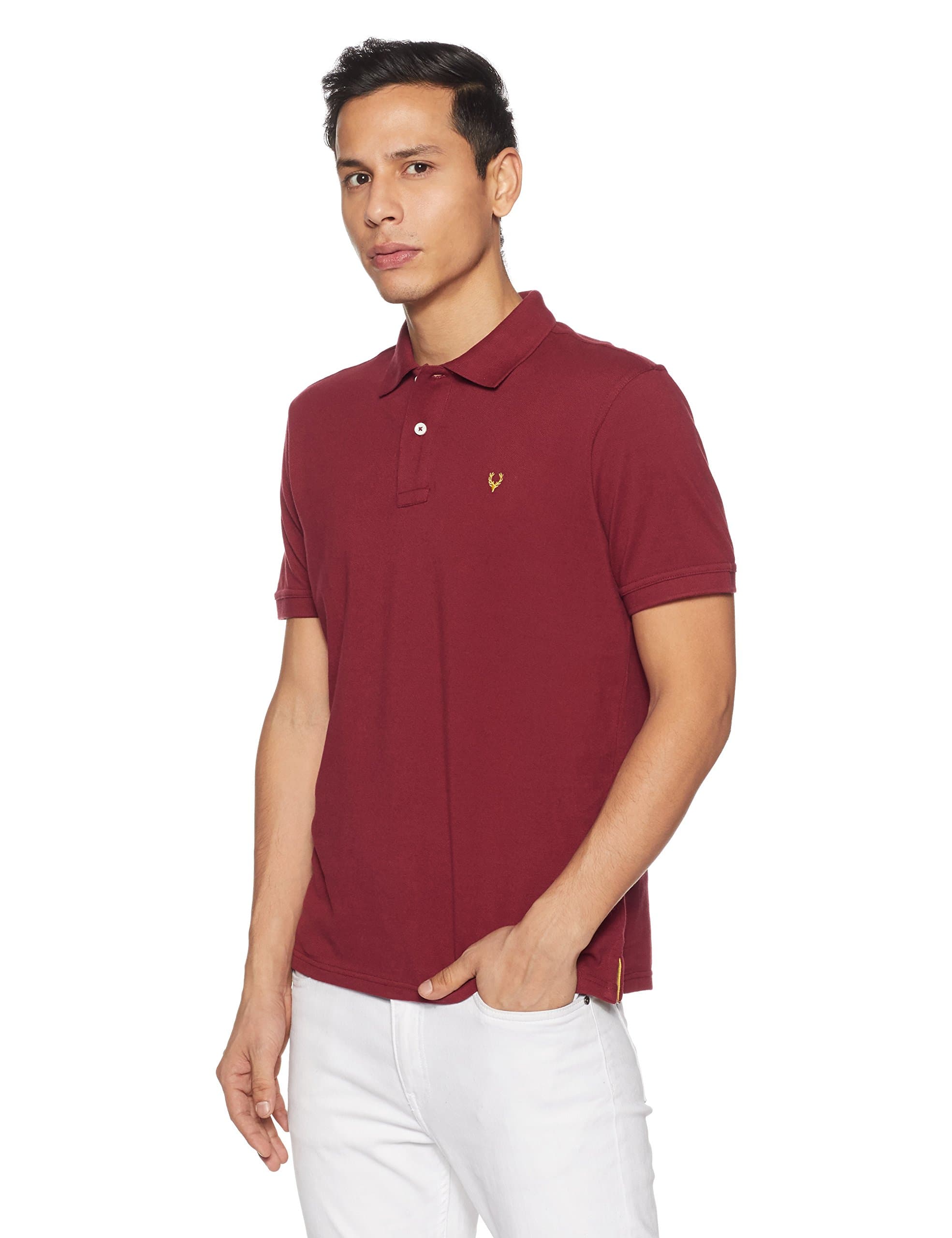 Allen Solly Men's Polo (8907587726922_AMKP317G04235_Small_Maroon)