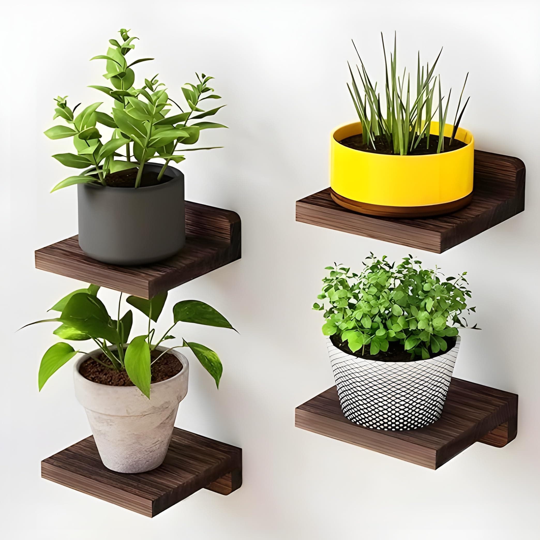 Dime Store Engineered Wood Floating Shelves for wall Decor Wall Shelf Storage Organizer | Mini Display Shelf for Living Room, Bathroom, Kitchen & Bedroom Décor Pack of 4 (Brown)
