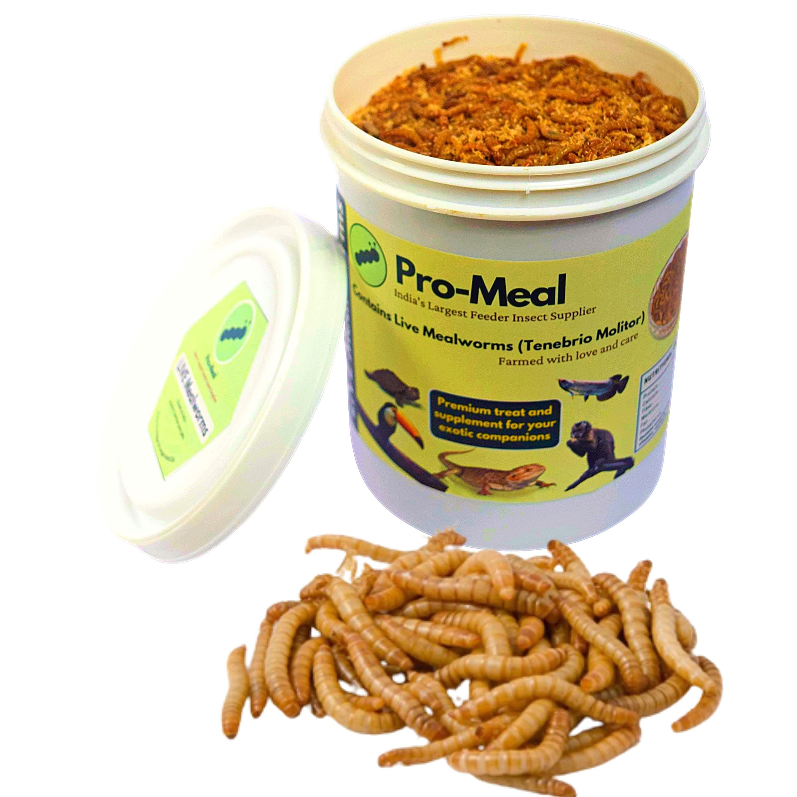 Promeal Larvae Live Mealworms High Protein Treat Food for Aquarium Fishes Like Flowerhorn, Arowana, and Birds, Reptiles, Monkeys and Other Pets of All Life Stages (2000 Larvae)