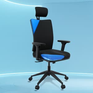 The Sleep Company Onyx SmartGRID Premium Orthopedic High-Back Desk Chair for Office & Home Nylon Office Executive Chair Price in India - Buy The Sleep Company Onyx SmartGRID Premium Orthopedic High-Back Desk Chair for Office & Home Nylon Office Executive Chair online at Flipkart.com