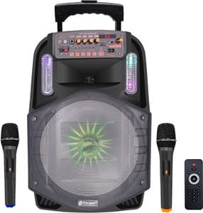 Buy Target Wireless Bluetooth 12" Portable Trolley Speaker 300 WATTS RMS 100 W Bluetooth PA Speaker Online from Flipkart.com